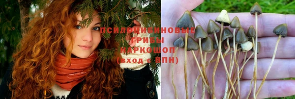 гашишное масло Заволжск