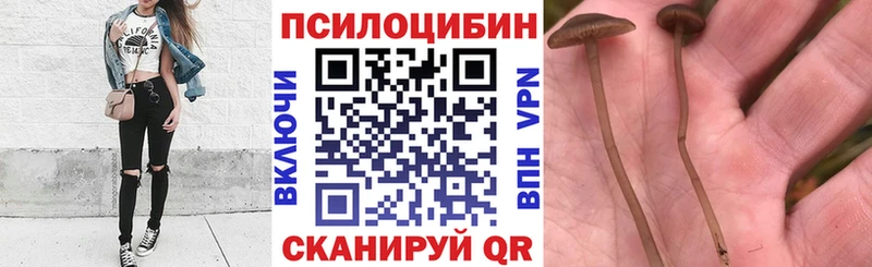 Галлюциногенные грибы ЛСД Мирный